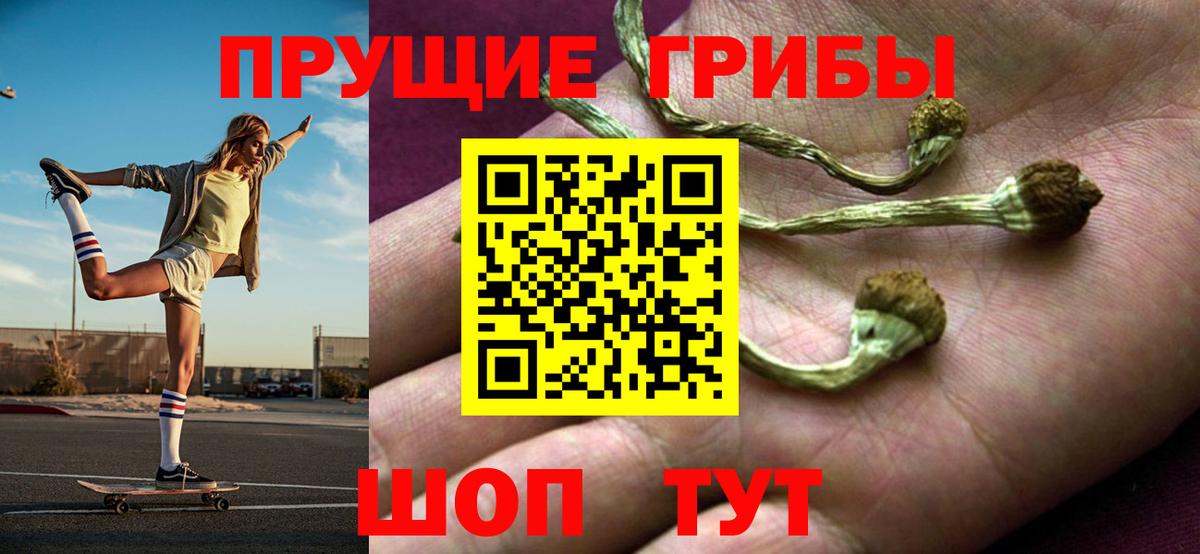 Псилоцибиновые грибы Psilocybe Тольятти
