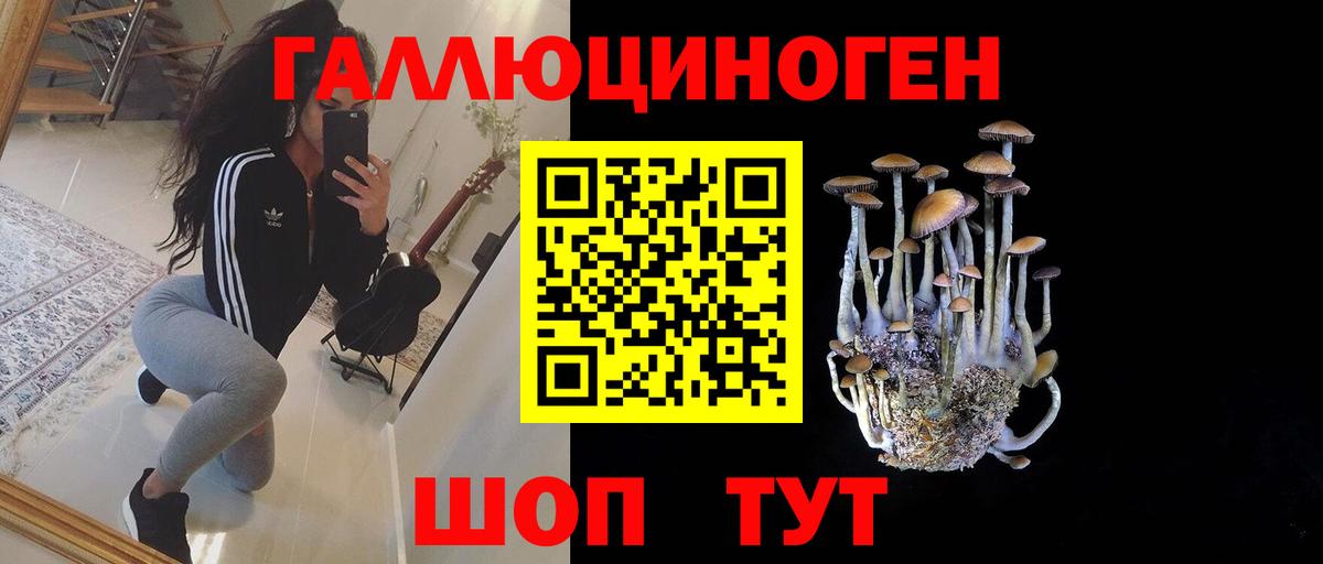 Тольятти  Псилоцибиновые грибы Magic Shrooms  Вход с VPN  Галлюциногенные грибы мицелий 